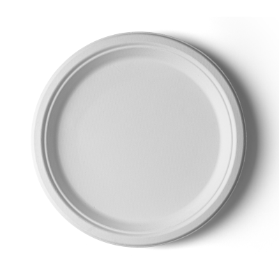 10 Inch Compostable Eco-Friendly Plate