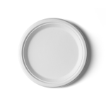9 Inch Compostable Eco-Friendly Plate